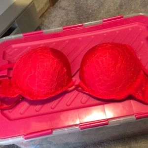 Victoria Secret bra